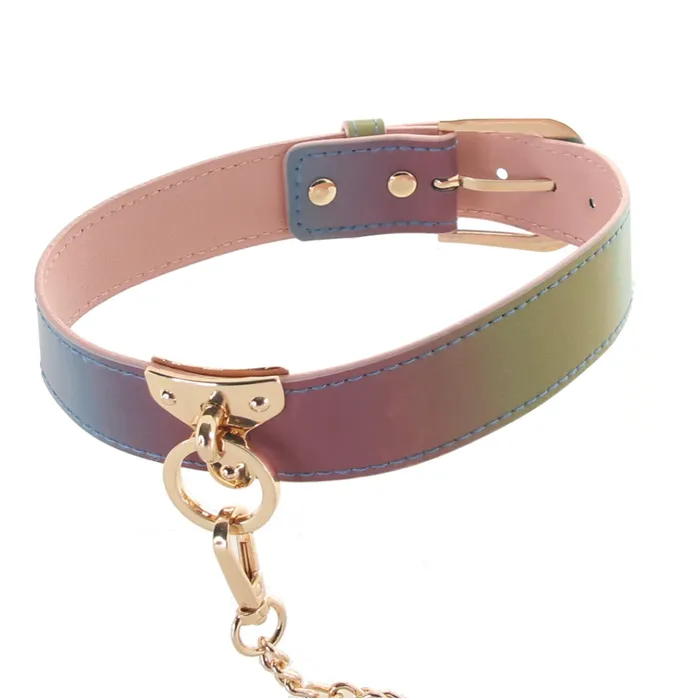 The Spectra Rainbow Collar Leash Set NSP Anal