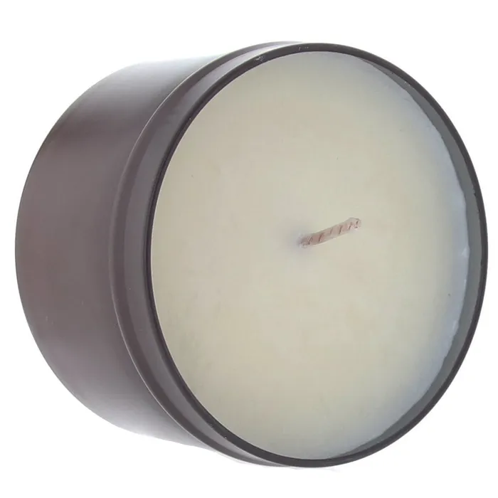 Female Sex Toys Earthly Body 3in1 Massage Candle 6oz170g in Zen Berry Rose