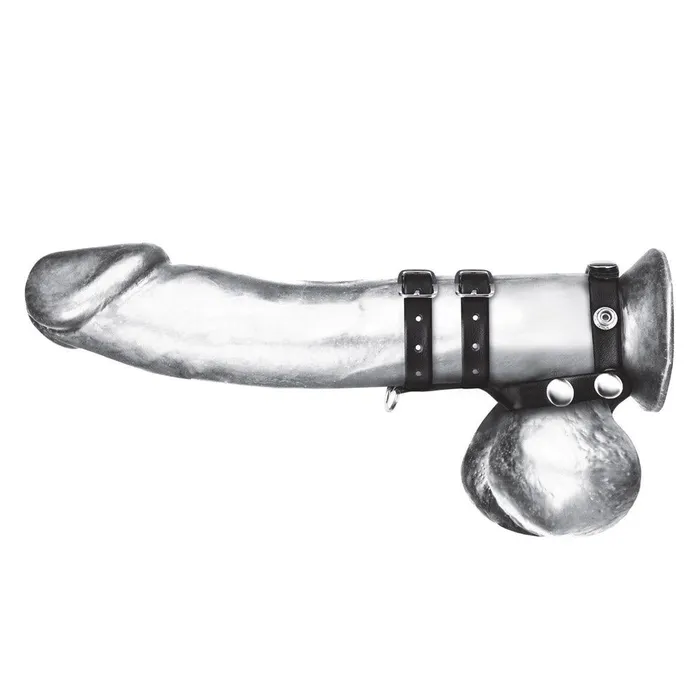 Male Sex Toys Blue Line Men Double Cock Ball Strap With Leash Lead