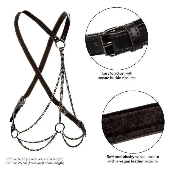 CalExotics Plus Size Euphoria Collection Plus Size Multi Chain Harness Black