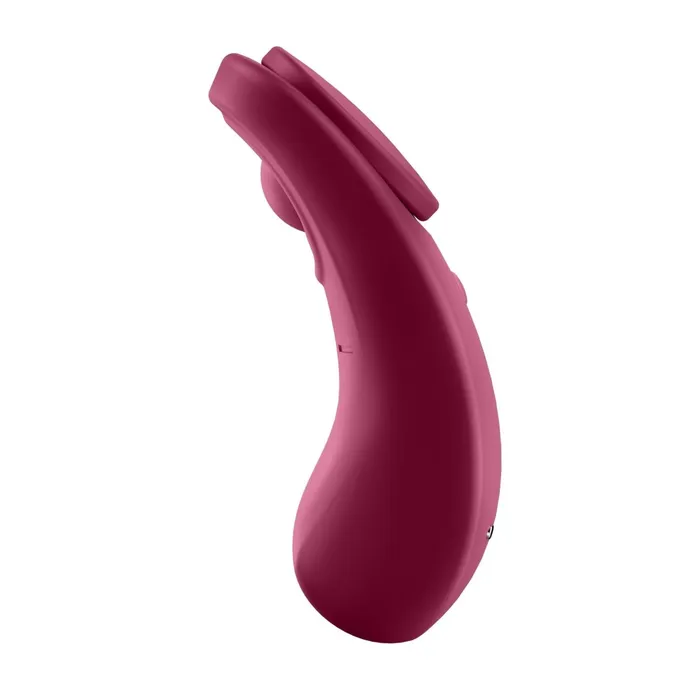 Satisfyer Sexy Secret Panty Vibrator Female Sex Toys